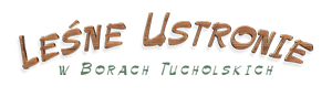 logo Leśne Ustronie